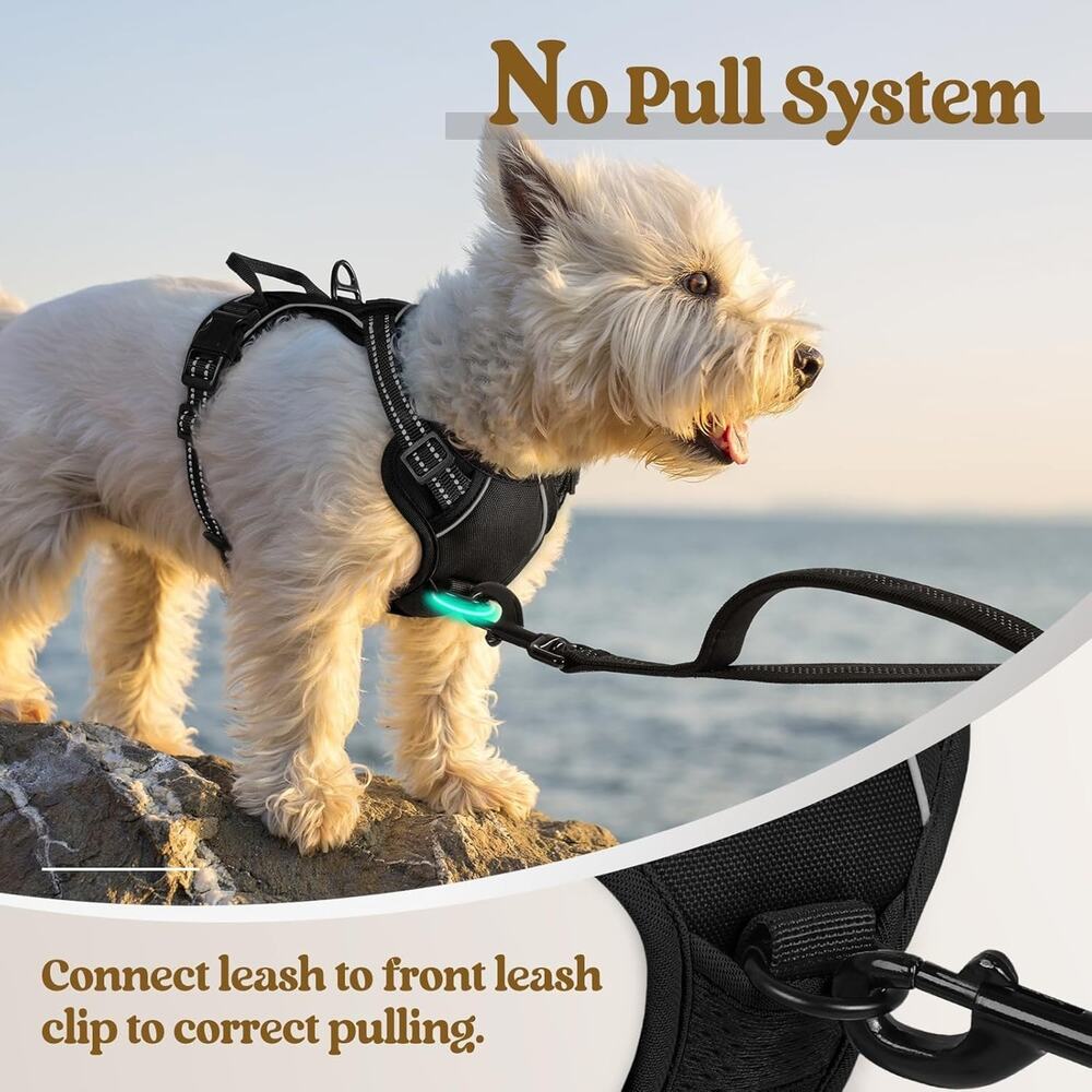Fofunipaw Dog Harness No Pull with 2 Leash Clips, Adjustable Soft Padded, - Picture 5 of 6